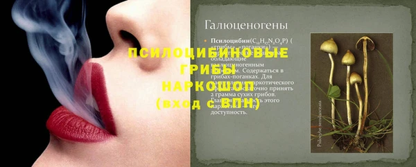 гидра Алексеевка