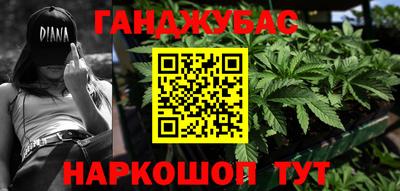 крисы Бердск