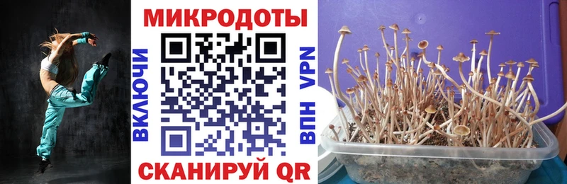 сколько стоит  Кореновск  Галлюциногенные грибы Cubensis 